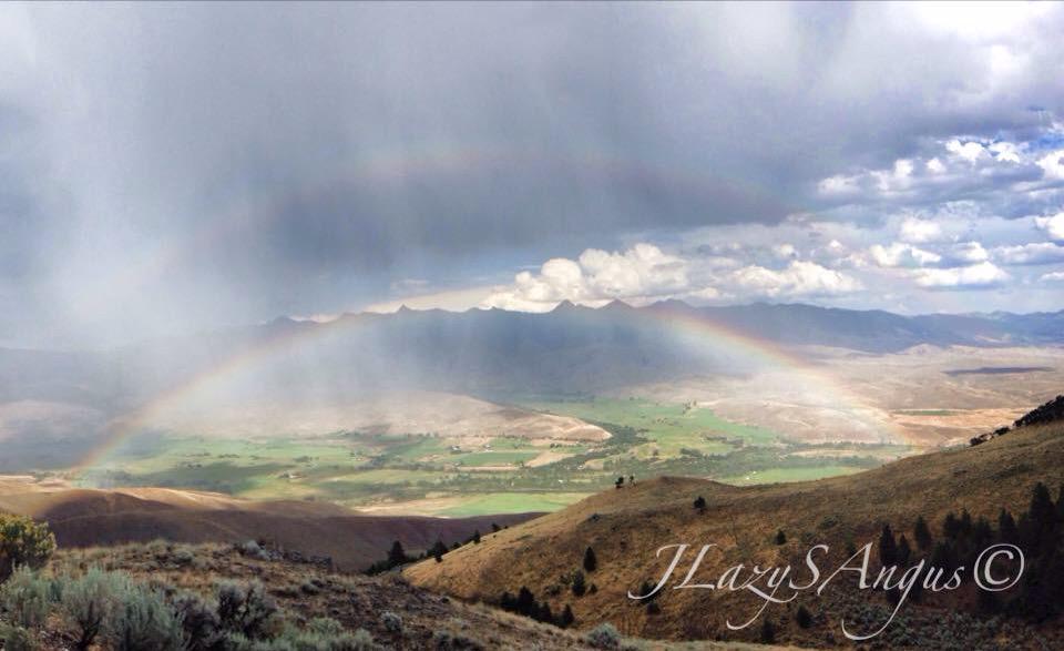 JLazySAngus's tweet image. Take a deep breath, let out all the hate &amp;amp; actually look @ what's right in front of you.
#farm365
Ranchlife on range.