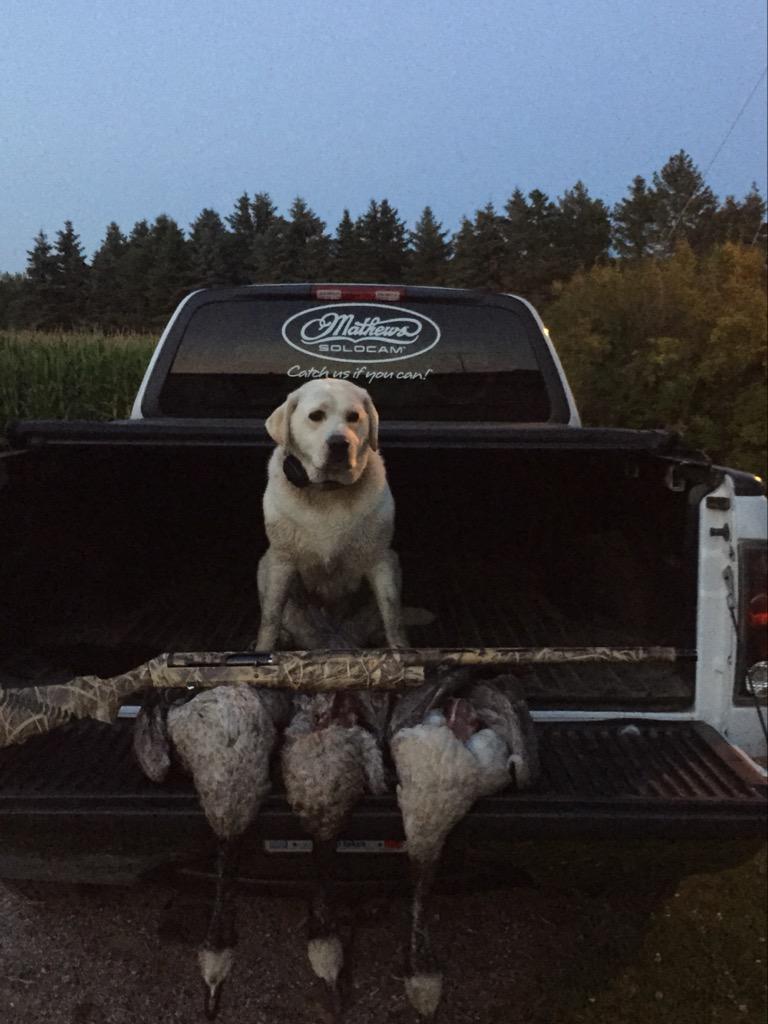 11vandy's tweet image. Not the best but it's a start, finally got some birds on the ground