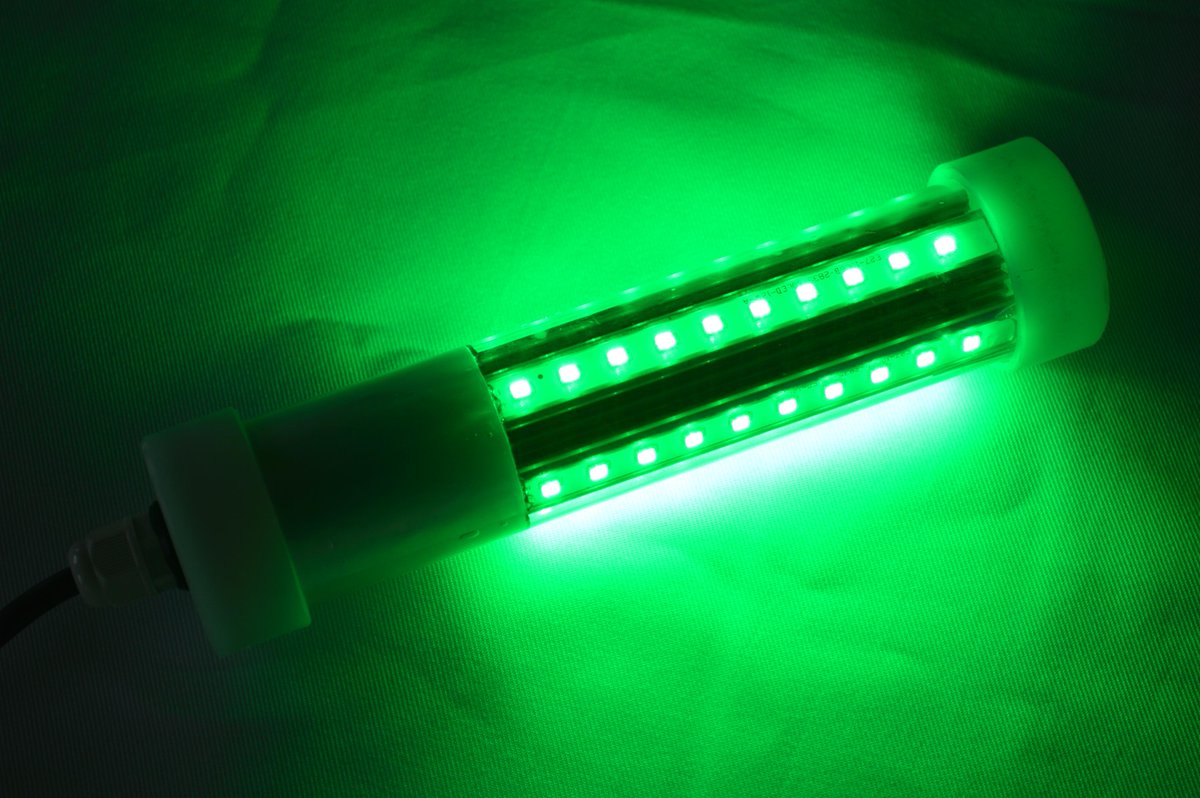 ToponeChoice's tweet image. If you do go night fishing, you’ll need lights — not just lights to see by, but specialty lights that draw sport fish