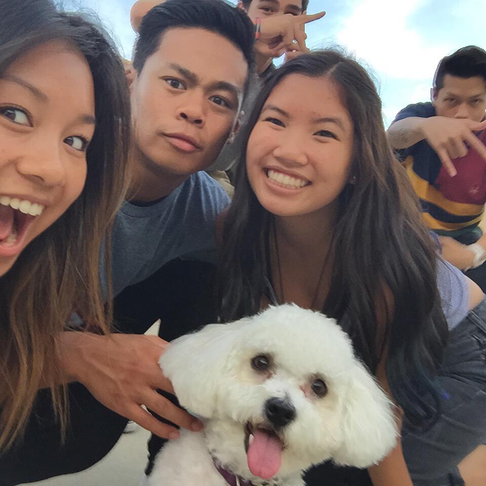 🐼🐼🐼🐶🐼🐼