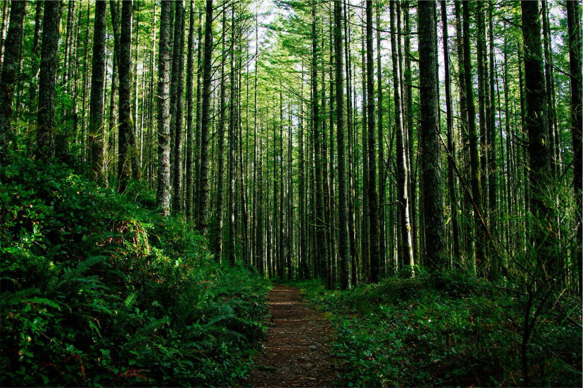 paulrunslong's tweet photo. For a moment, running gives us peace &amp; solitude. There's magic in getting outdoors - the fresh air &amp; nature. #runchat http://t.co/GPZmxzarPD