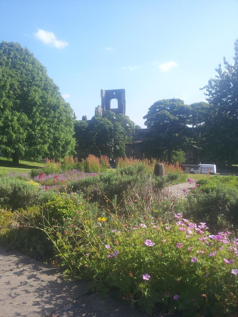 IEKirkstall's tweet photo. All welcome to join us Free #Leeds  #CommunalWalk &amp; #foraging https://t.co/G3gn9mF565 Today 11am #Kirkstall Abbey http://t.co/yykIC0a7QJ