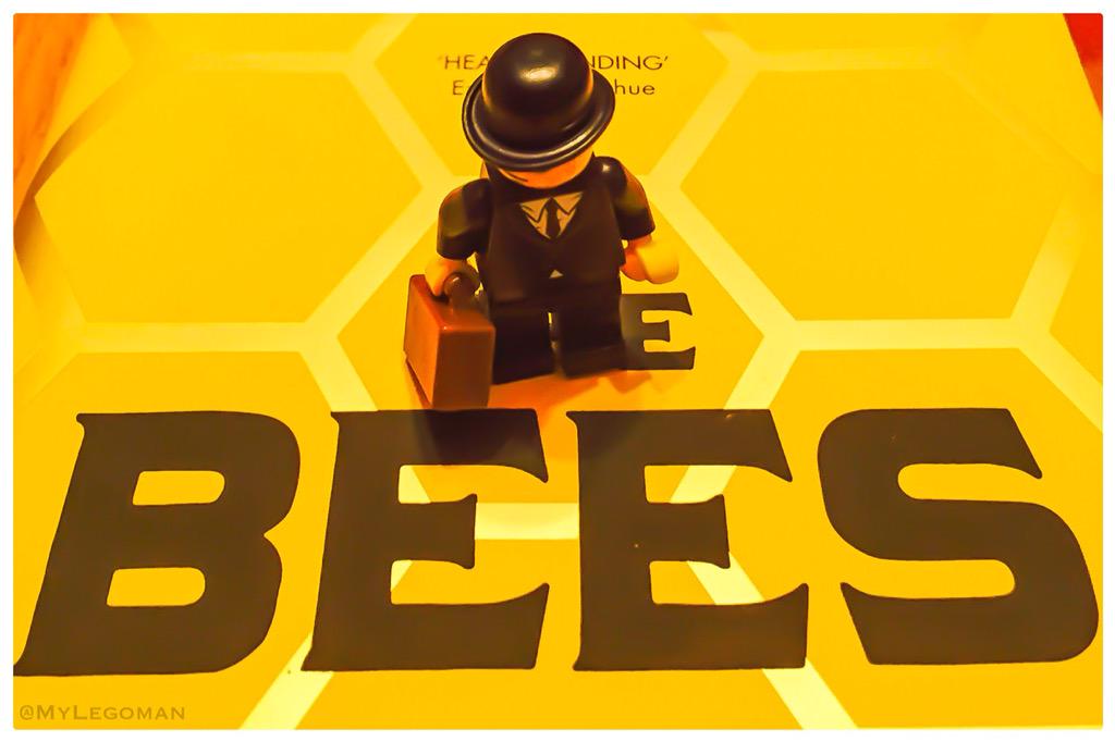 mylegoman's tweet photo. It's #WorldHoneybeeDay incredibly 1152 #honeybees flying 112000 miles visiting 4.5million flowers make 16oz #honey http://t.co/DSJiBRY8eR
