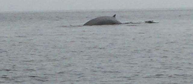 CorentinRuat25's tweet photo. Quelques images du Canada :) @Docteur_Tox http://t.co/rdE564cvVb