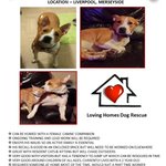 Photo by Poundies In Need (@PoundiesInNeed)