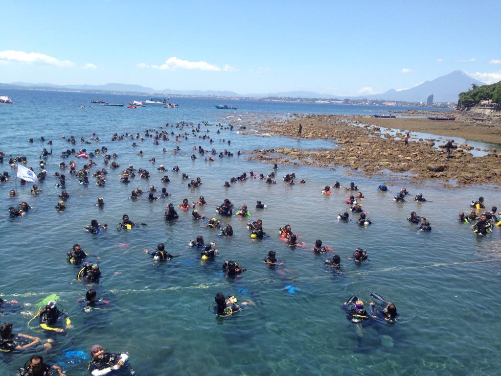 savecoralid tweet media