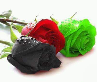 ❤shehzadi ❤M ❤Khan❤ (@prettyshahzadi) on Twitter photo 