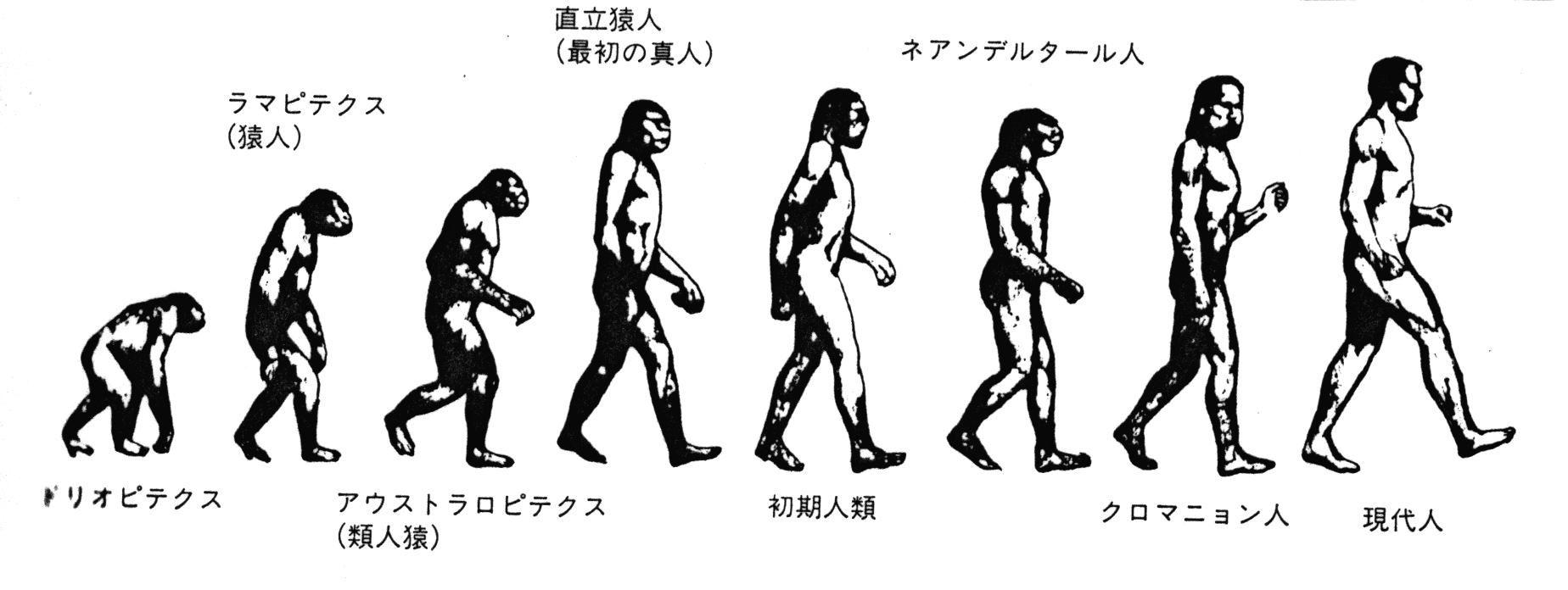 あやや Zero Gの振付の中にアウストラロピテクスから現代人になるまでを表現したような振付があって 図参照 そこがめちゃくちゃイカした振付だなと思うんだけど 一瞬で終わらせず次の小節はこの状態でフリーズさせた振付師のセンスに乾杯 Http T Co