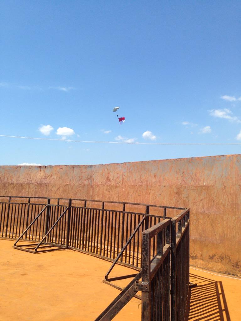 savecoralid tweet media