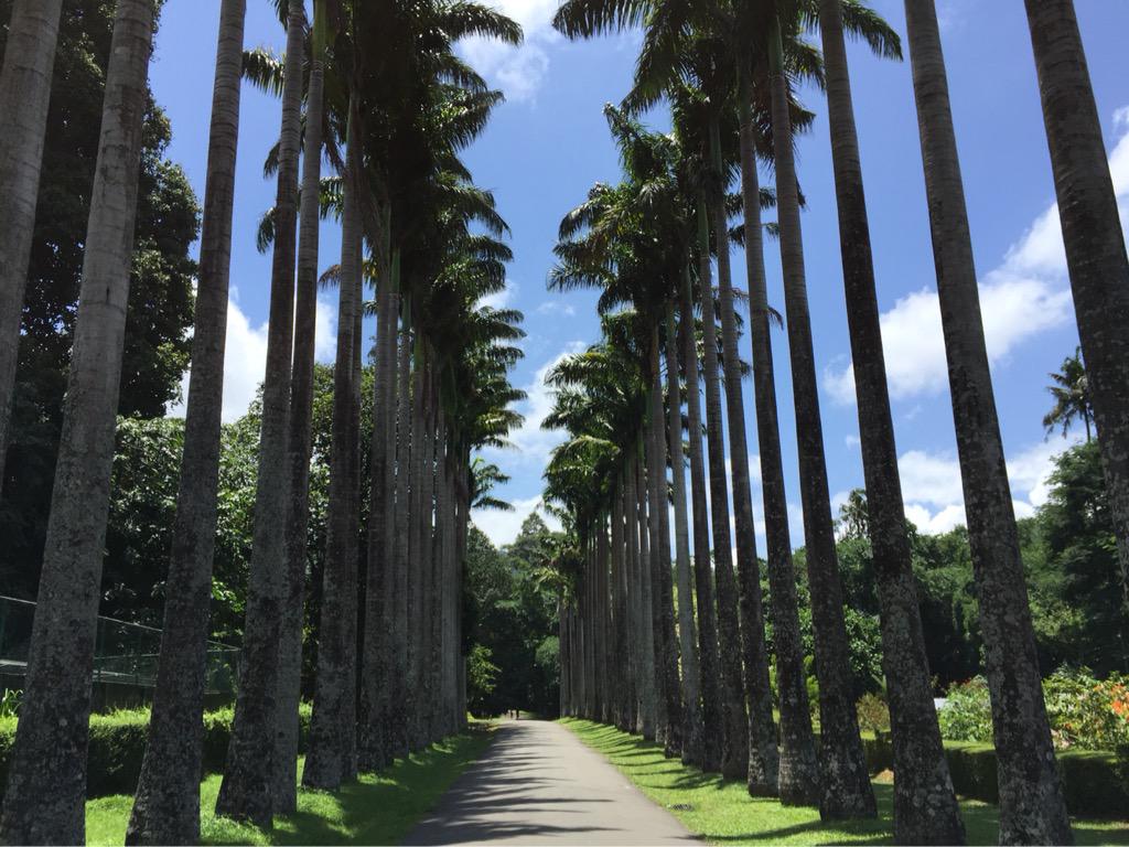 AgentCS's tweet image. #Kandy #SriLanka - beautiful. #Travel