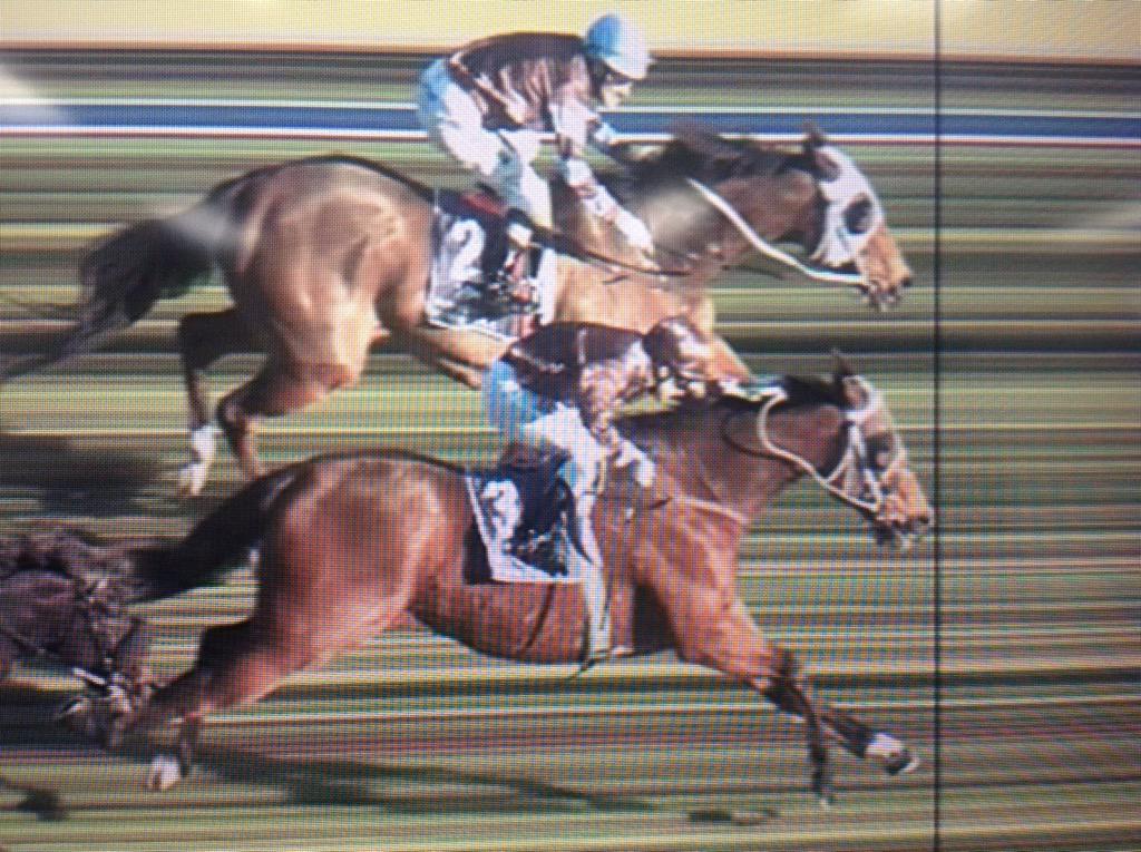 RVCarps's tweet photo. Great finish to PB Lawrence with MOURINHO blousing THE CLEANER on the line @MRCTrackNews #CrackingContest http://t.co/48qqlVxK05