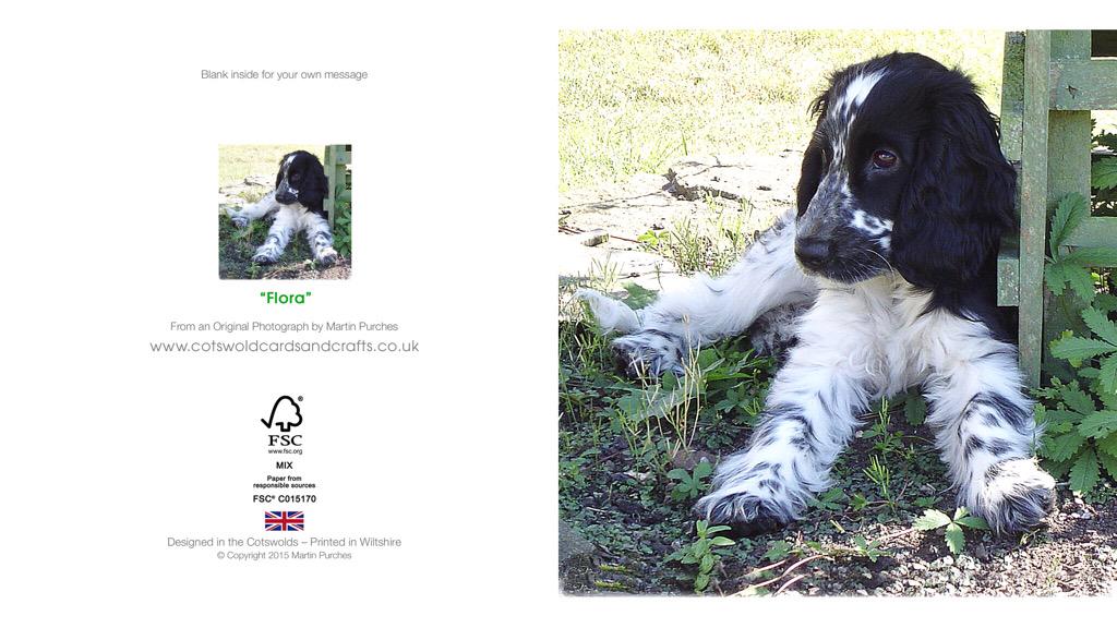 CotswoldCards's tweet photo. @_CockerSpaniels "Flora" Available as card or ltd edition print from http://t.co/IRsLh4XsX1 http://t.co/sNJUjTDA2G