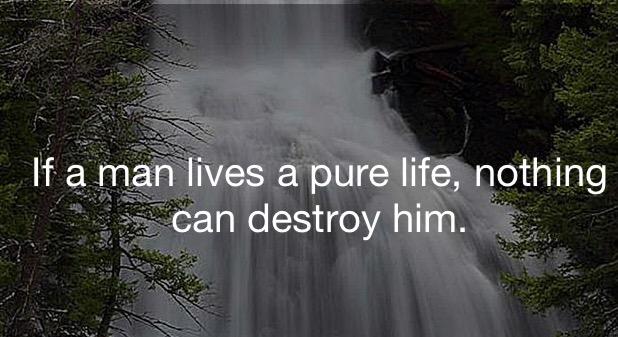 I wouldn't know, I think I'm full of shit.
<a href="/THExDOGFATHERx/">THE DOGFATHER™ #MGWV</a> <a href="/sonrisa_lila/">peat mix</a> <a href="/MGWVRecords/">MGWV Records</a> <a href="/juliiobautista/">JC BAUTISTA</a> @MonikaRguez17