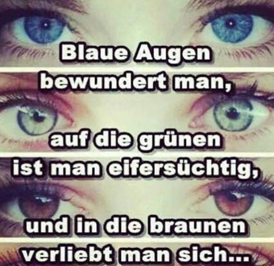 Grüne augen sprüche