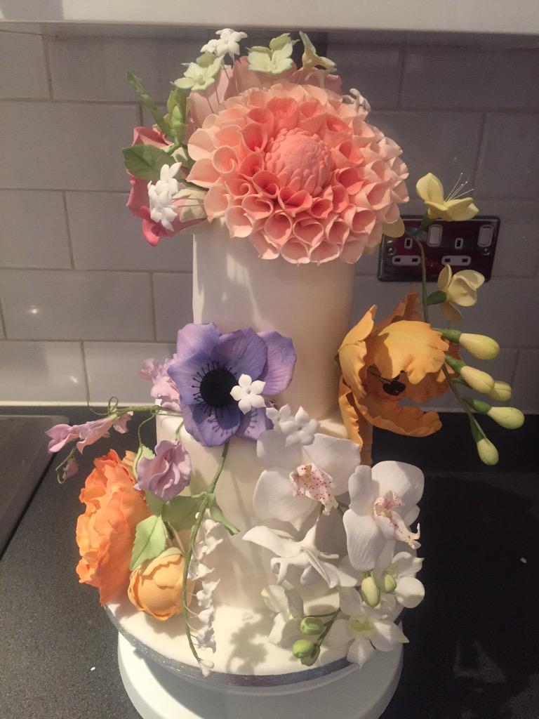 BakerSpinning's tweet photo. 10 days @peggyporschen resulted in this. So proud! Had the best time. http://t.co/tr9IQ9suSf