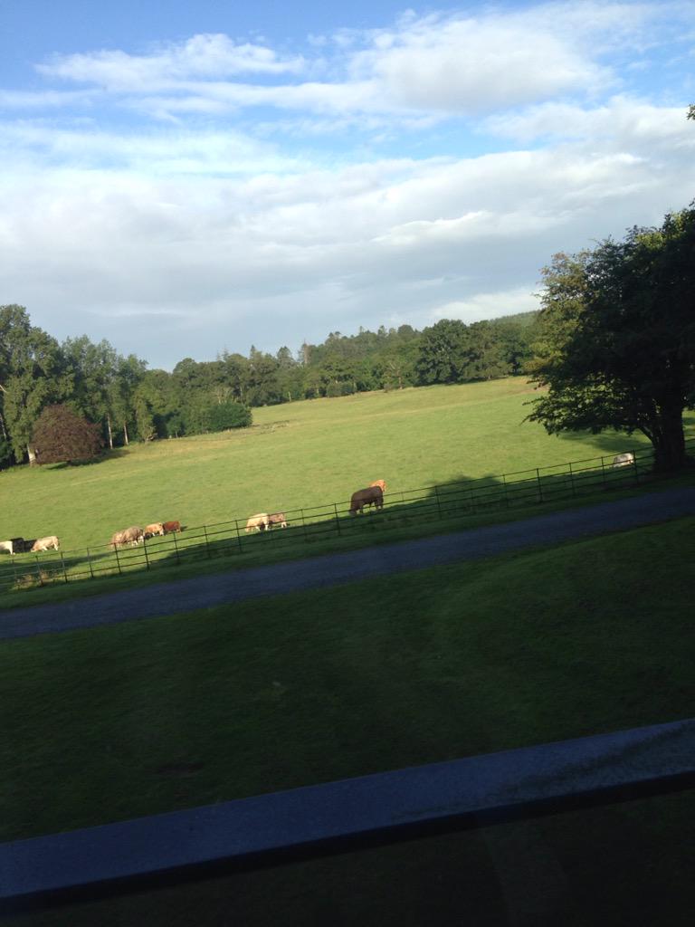 MajellaG's tweet photo. Woke up in heaven this morning..  @farnhamestate http://t.co/FZdu7VWd9Z