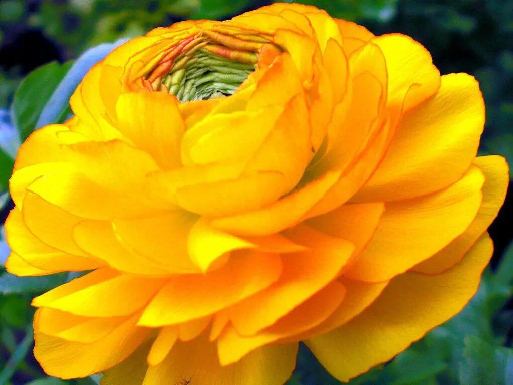 Cameron Slater (@cameronslater__) on Twitter photo 