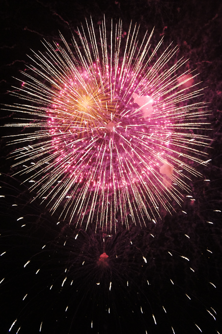 「aerial fireworks」 illustration images(Oldest)