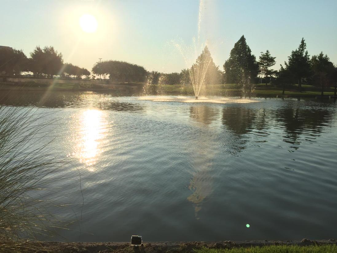 bitsydrone's tweet image. Time lapse in progress