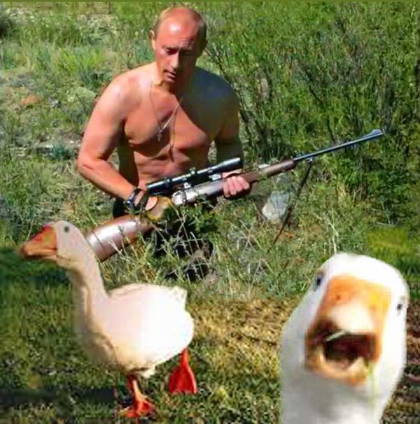 Ликвидирован подпольный цех по обработке янтаря на Киевщине, - СБУ - Цензор.НЕТ 4075