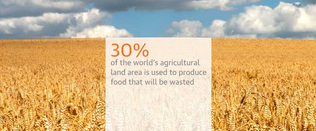 This much #land to grow #food that's thrown away! act.gp/1NswH0a
Fix the food system>> grnpc.org/IgtJc