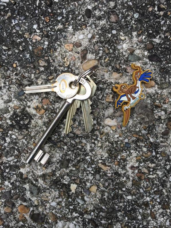 misvid's tweet image. #sleutels #gevonden in het #majellapark #utrecht