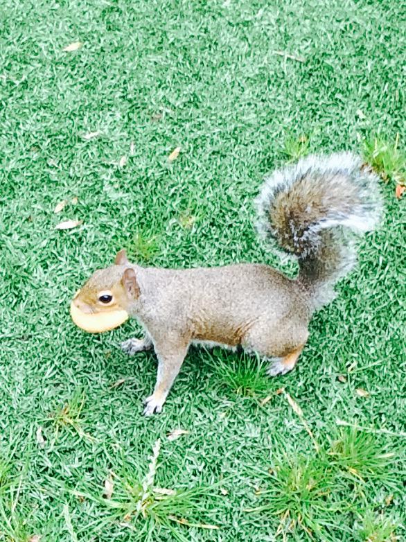 First customer of the <a href="/LoveBeerFest/">Love Beer Festivals</a> #Chorlton