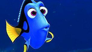 repubblica's tweet photo. "Finding Dory": la pesciolina blu protagonista del sequel di Nemo http://t.co/haoGspqz6M http://t.co/S4nDx2TmZF