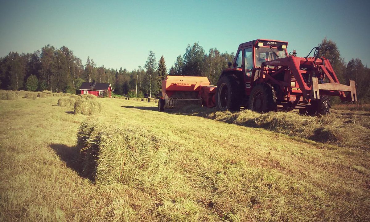 Se tunne, kun kesän ekat kuivaheinäpaalit on saatu sateen alta latoon! #heinänteko #heinätyöt #kesä