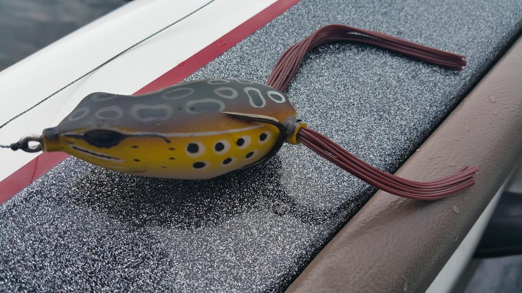 ProZBaits's tweet image. Follow us and retweet for your chance to one this frog!