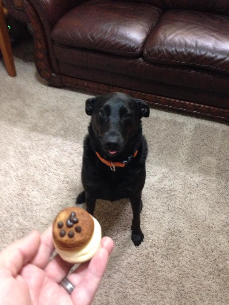 Craftbeer23's tweet photo. @threedogindy treats + @Flat12Bierwerks #12paws beer = one spoiled dog http://t.co/cHQHc3GJPA