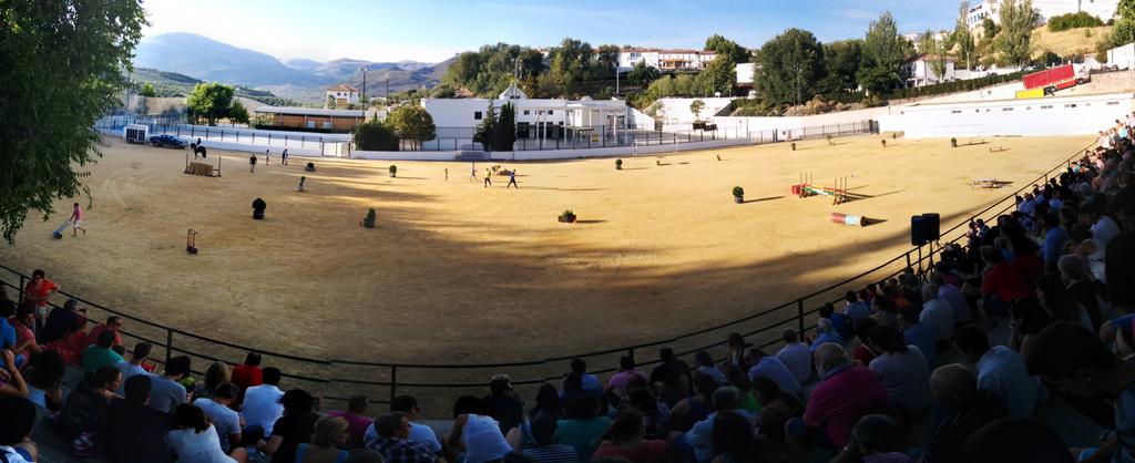 CarcaWEBnews's tweet photo. Buen ambiente en el campo de fútbol. A punto de comenzar el espectáculo ecuestre #FeriaCarcabuey15 http://t.co/HysNxeoDHS