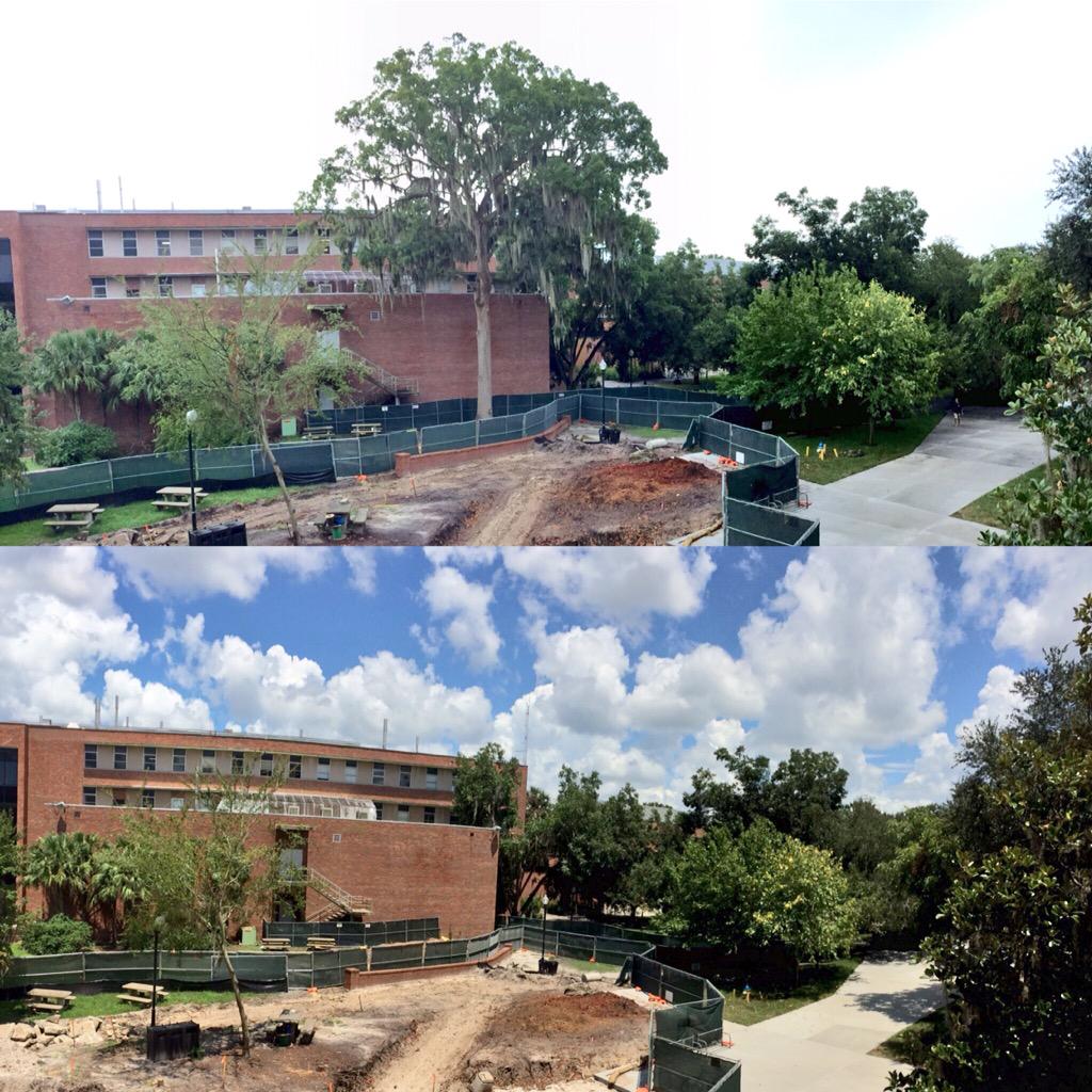 vantru0ng's tweet photo. @saveourbert @bardiak @ForestPathology Before and after: http://t.co/983KAb6JiG