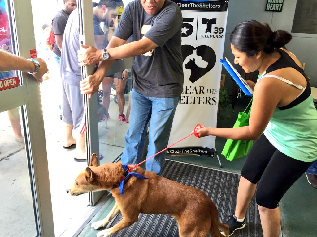 KatyBlakeyNBC5's tweet photo. This guy was just a tad excited to leave. @DallasShelter #DontHoldHimBack #ClearTheShelter @NBCDFW http://t.co/8RmVgnBXYE