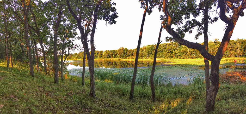 GameFairUSA's tweet photo. The sunlight is streaming thru the oaks on the lake at #gamefair2015 It's going to be a beautiful day! See you soon! http://t.co/hEbamHT9Cz
