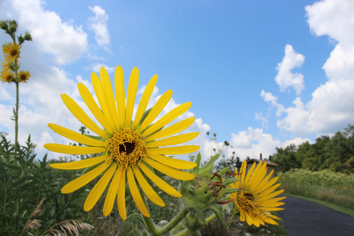 nycelevated's tweet photo. Marengo Ridge 

Marengo, IL http://t.co/wv9xF6F5Mf