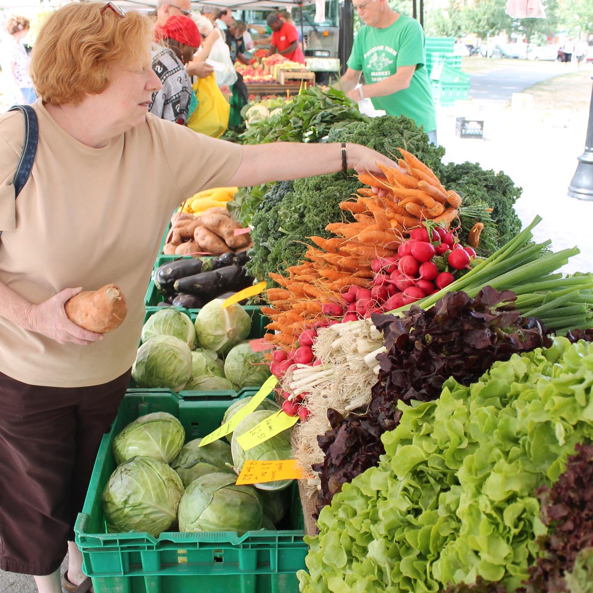 FarmKings's tweet photo. LETTUCE show you what farm fresh foods are all about at our Traveling Market in @bloomfieldmrkt 9am until noon http://t.co/oIGyhKndZk