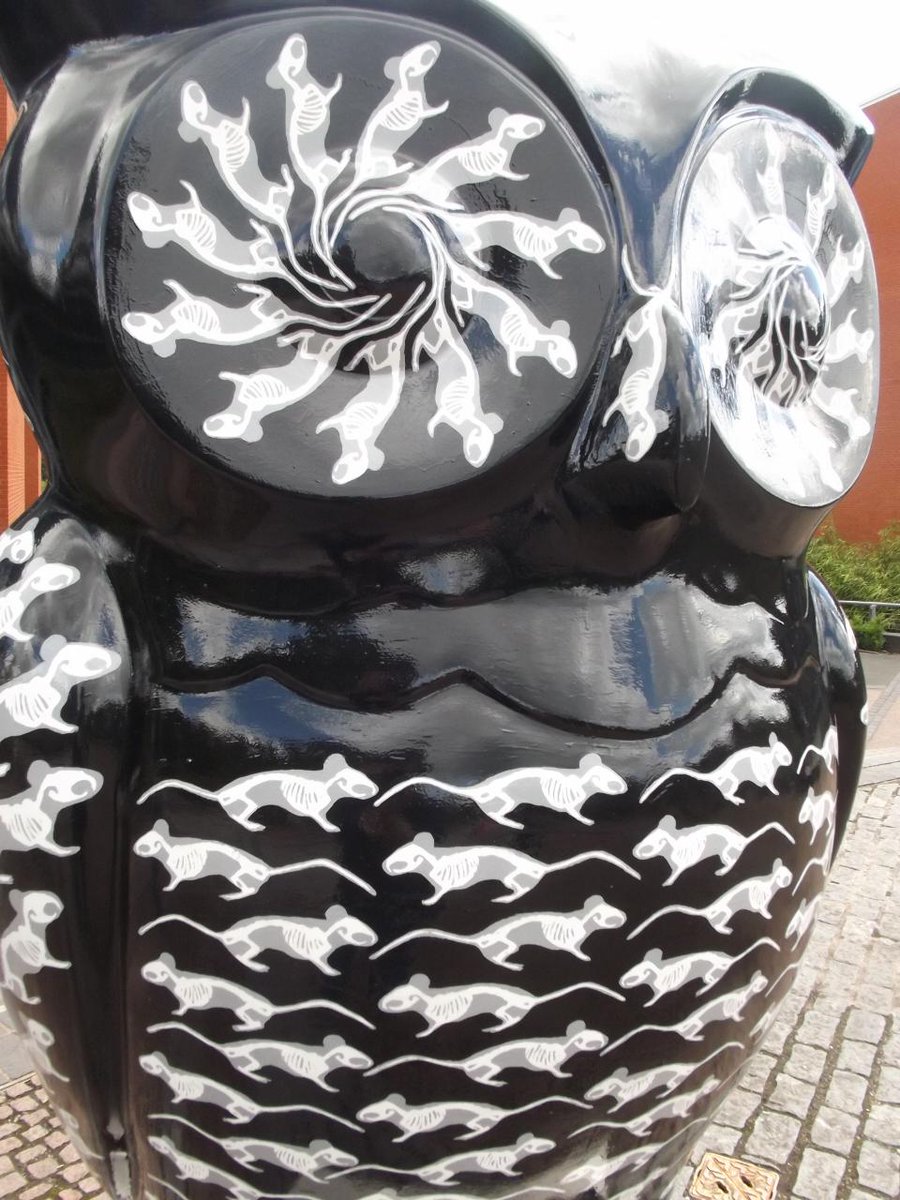 ellrbrown's tweet photo. @unibirmingham @thebighoot2015 #Edgbaston Twit Choo-Choo, The Bone Ranger &amp; Hootankhamoon #BrumHour #100DaysofBrum http://t.co/fgOHIMAZjO