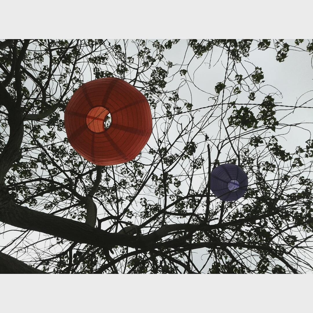 stoicKhan's tweet image. تمہارا اور میرا نام جنگل میں درختوں پر ابهی لکهاہوا ہے

#PakFest