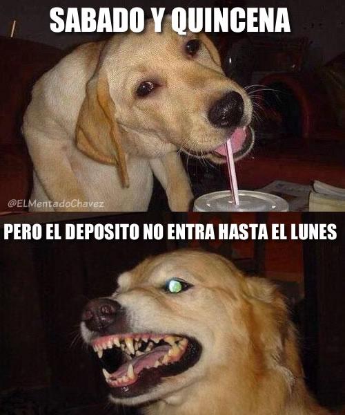 ELMentadoChavez's tweet photo. Para los que ya les llego el deposito... #FelizSabado http://t.co/pOU30uKrSC