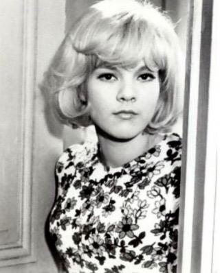 Sylvie Vartan 

Happy 71st Birthday!!!

( 15 Aug 1944 )

French Pop / YeYe / Rock Singer & Actress 