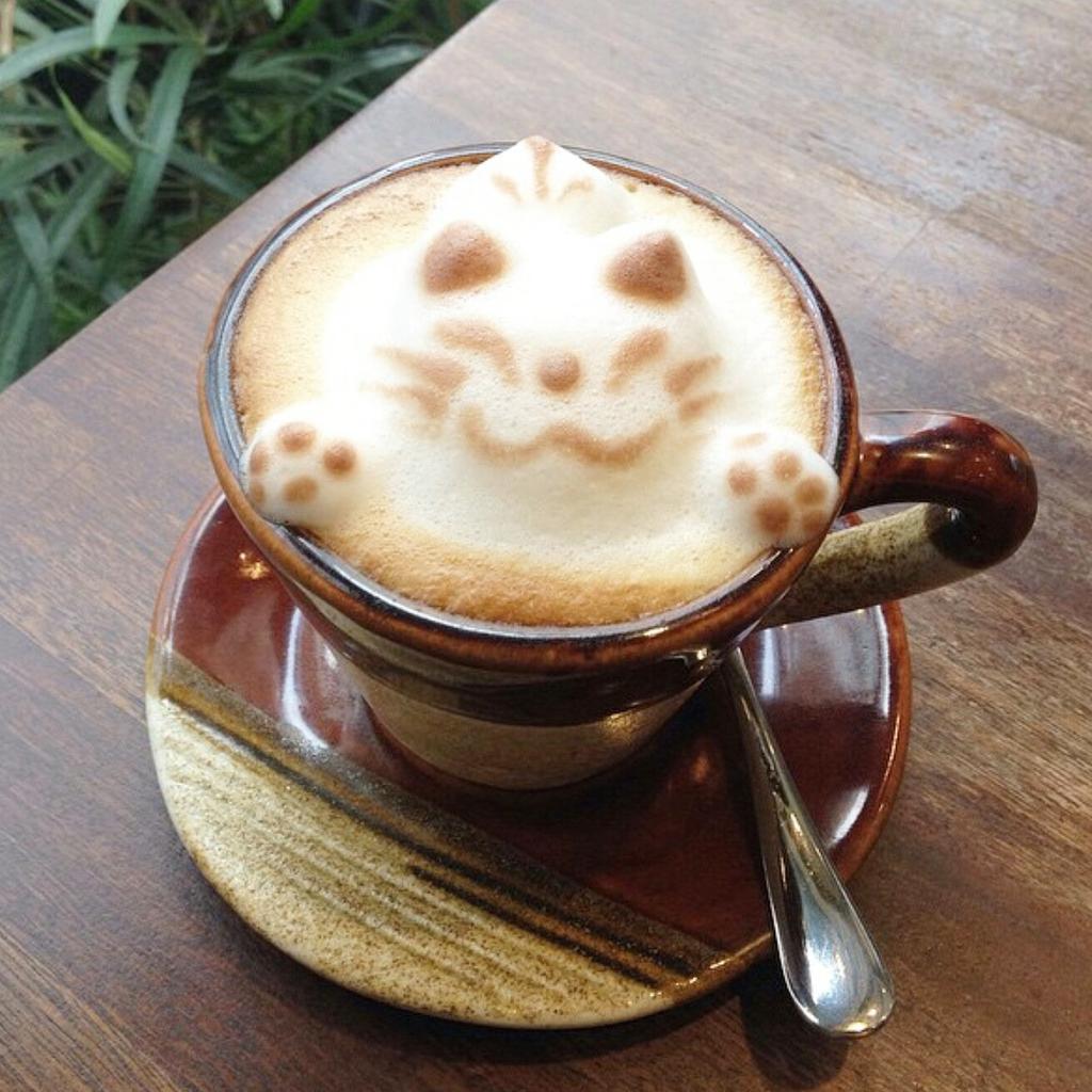 CommunePH's tweet photo. This cat misses us as much as you do. Too bad it can't post a #MissingCommune story but u can! So share w/ us yours! http://t.co/Rk0qLNU63g