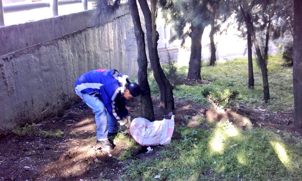SUrbanosMH's tweet photo. Retiro de cascajo en áreas verdes como parte de #EnchúlameLaColonia (Tránsito-Parque Lira frente a Alameda Tacubaya). http://t.co/uBgdJmc4ZP