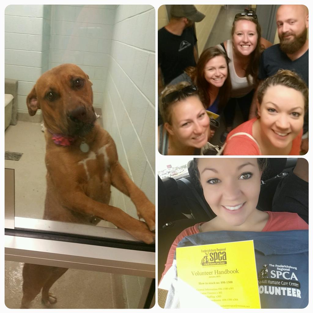 RlinzyB's tweet photo. We are trained and ready to volunteer! @FburgSPCA @CapitalAleHouse #volunteer #SPCA #CapAleFred #NoRoofNoProblem http://t.co/UpnQoUsYan
