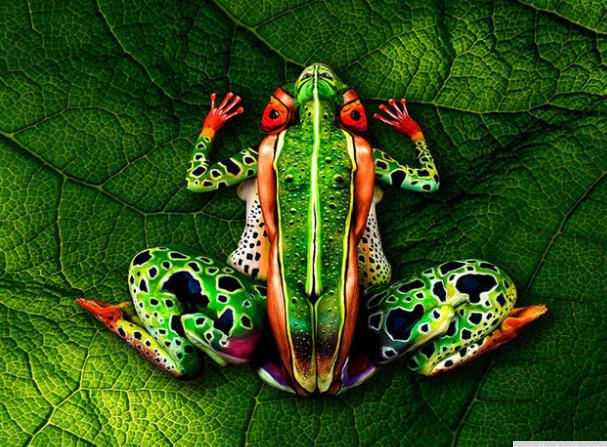 Roughriderja's tweet photo. What do you see?
A. Frog
B. A Woman
C. Five Women
D. This nah bring back water #DroughtIssues http://t.co/ur6Om3Sb2x