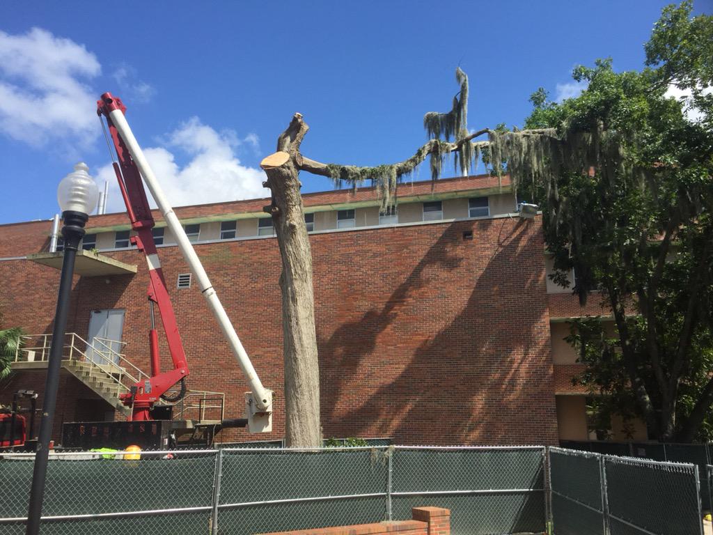 stamey's tweet photo. Looks like Bert is waving goodbye with his one remaining limb. #BertWatch http://t.co/zj9MJSmBDD