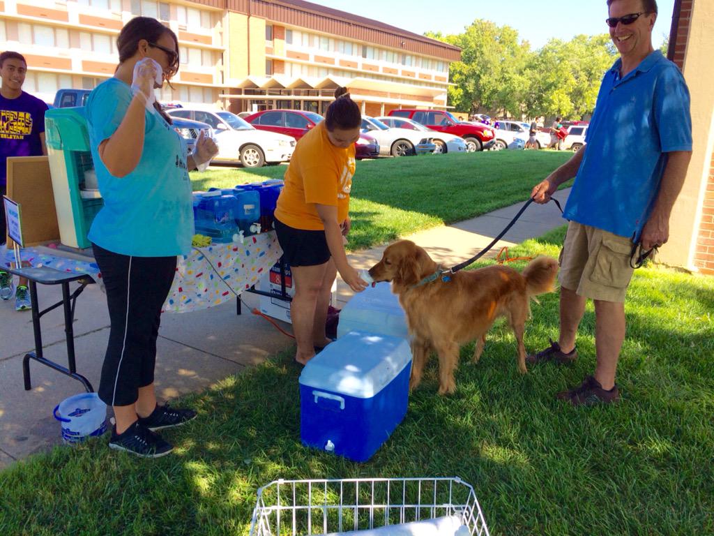 NancyHCummings's tweet photo. @goKWU #evendogslovesnowcones #snowizard #kwu #moveinday thanks @KWUPRES http://t.co/e8FF8R3bb6
