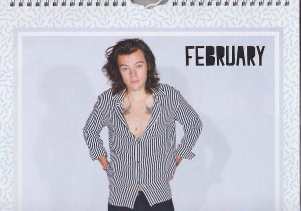 hemmingsnavarro's tweet image. Se revelaron el 14/Agosto fotos de One Direction para el calendario oficial de el año 2016 de ellos #1DNotes