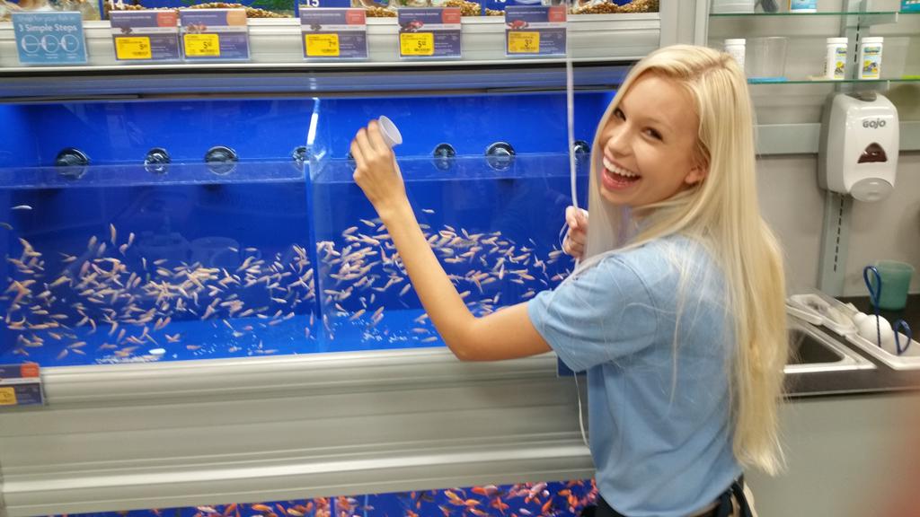 PetSmart tweet media