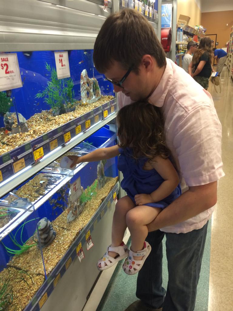 PetSmart tweet media